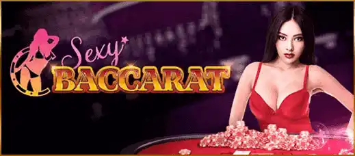 Sexy baccarat